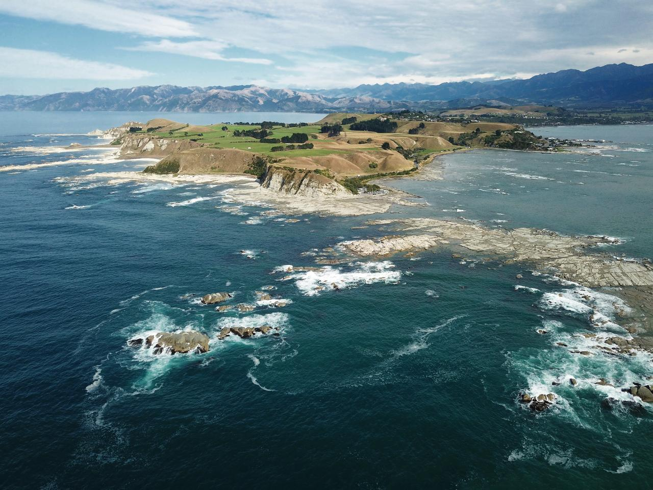 Kaikōura Day Tour From Christchurch (Small Group, Carbon Neutral) - Photo 1 of 4